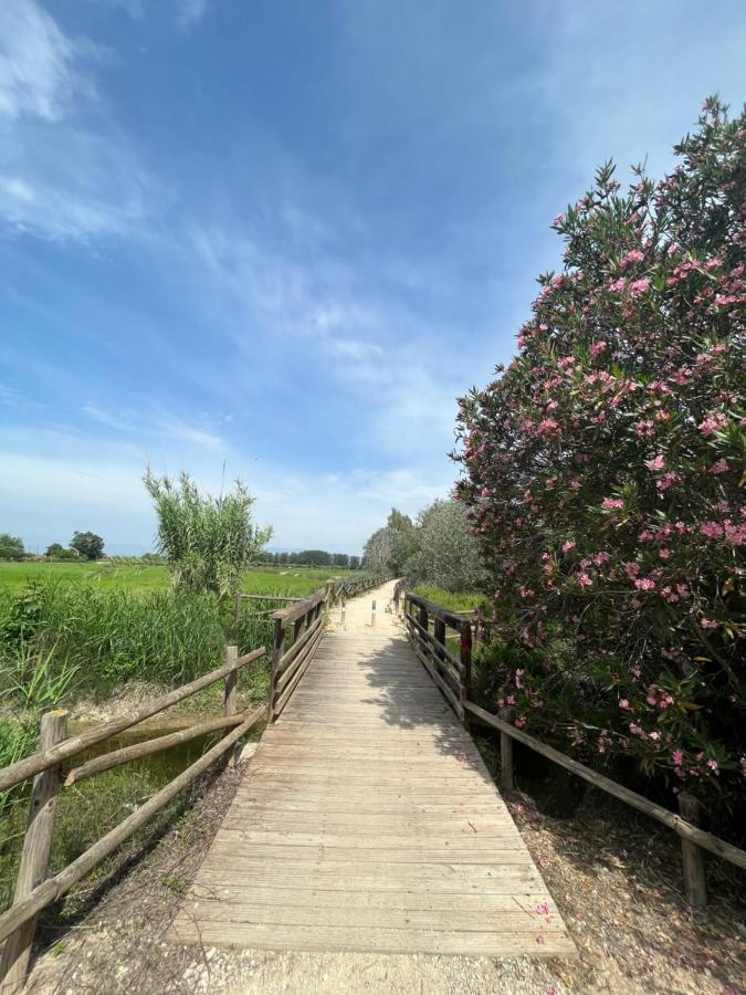 El Secreto Del Descanso Del Ebro Sant Jaume d'Enveja Luaran gambar